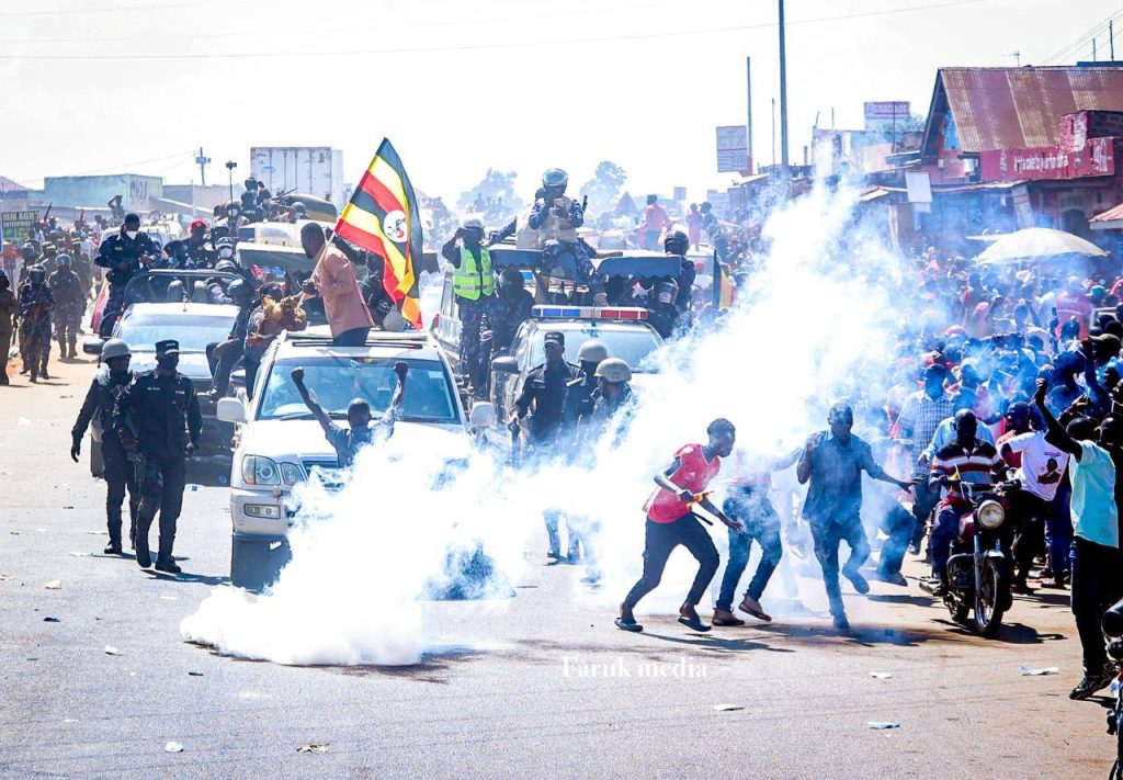 588587764 1451450363007430 655306666075514117 n